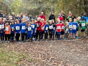 In Groß Hesepe läuft‘s