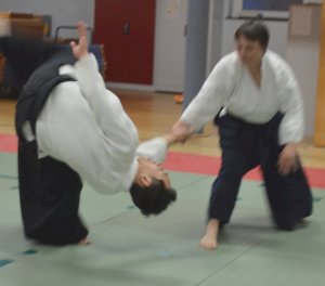 2019-03-28; Toyoda (3)