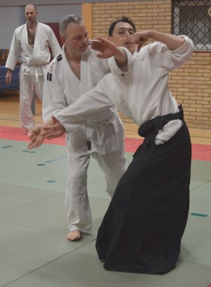 2019-03-28; Toyoda (5)