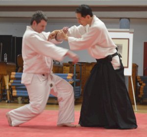 2019-03-28; Toyoda (6)