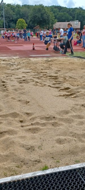 Kreismeisterschaft der Leichtathletik