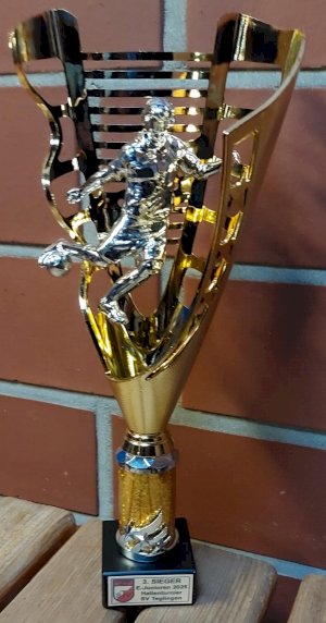 E-Junioren erkämpfen dritten Turnierplatz