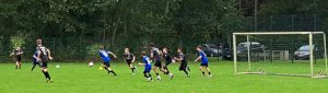 D1 belohnt sich nicht