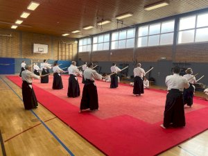 Neue Aikido-Matten