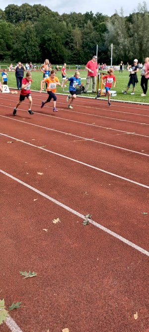 Kreismeisterschaft der Leichtathletik