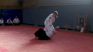 Internationaler Aikido-Lehrgang bei uns im Eschpark