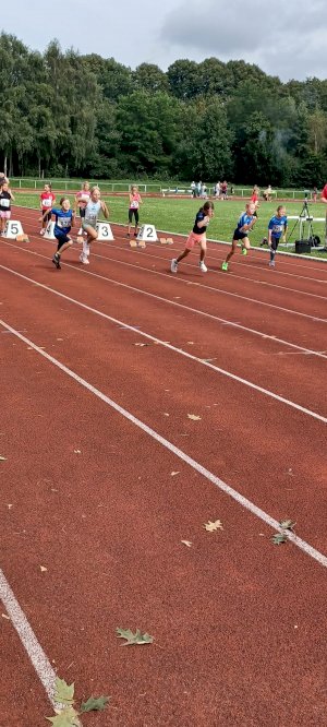 Kreismeisterschaft der Leichtathletik