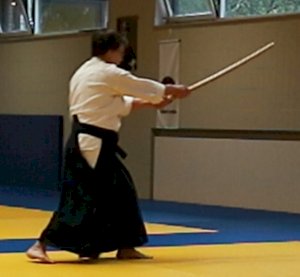 20231023 Aikido-Lehrgang Beveren (11) Andrea Moss