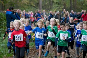 In Groß Hesepe läuft‘s