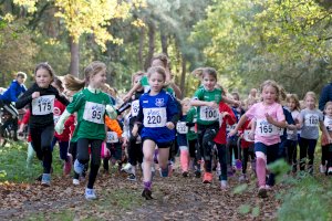 In Groß Hesepe läuft‘s