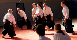 Lehrgang mit dem AAI-Präsidenten Tatsuo Toyoda Sensei