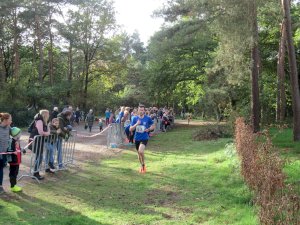 11ter Martinslauf in Klein Hesepe wieder ein voller Erfolg