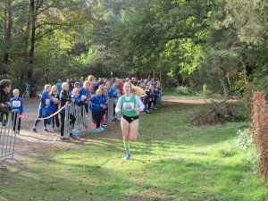 11ter Martinslauf in Klein Hesepe wieder ein voller Erfolg
