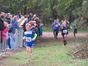 11ter Martinslauf in Klein Hesepe wieder ein voller Erfolg