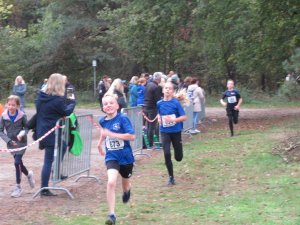 11ter Martinslauf in Klein Hesepe wieder ein voller Erfolg