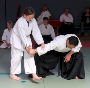 Lehrgang mit dem AAI-Präsidenten Tatsuo Toyoda Sensei