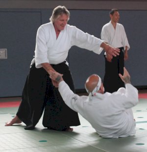 Lehrgang mit dem AAI-Präsidenten Tatsuo Toyoda Sensei