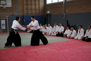 Lehrgang mit dem AAI-Präsidenten Tatsuo Toyoda Sensei