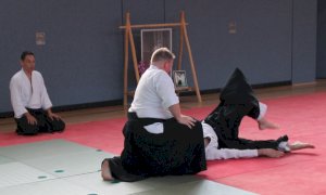 Lehrgang mit dem AAI-Präsidenten Tatsuo Toyoda Sensei