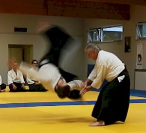 20231023 Aikido-Lehrgang Beveren (16) Martin Moss