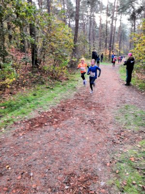 Erfolgreiches Abschneiden beim Emslandcross in Lingen