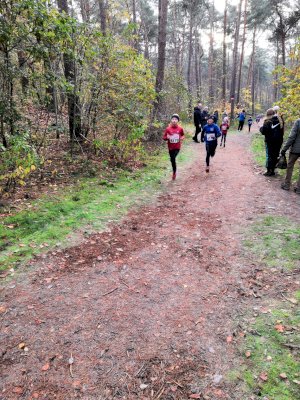 Erfolgreiches Abschneiden beim Emslandcross in Lingen