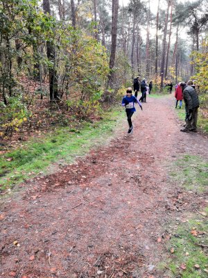 Erfolgreiches Abschneiden beim Emslandcross in Lingen