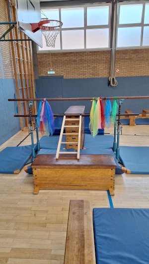 Über 100 Teilnehmende beim Tag des Kinderturnens