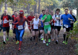 Martinslauf2018_Titel