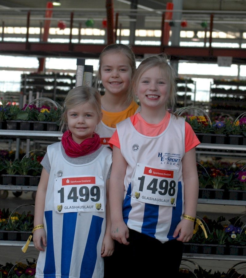 SV Groß Hesepe 1923 e.V.