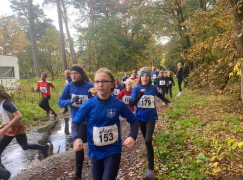 Viele Teilnehmer beim 12. Martinslauf