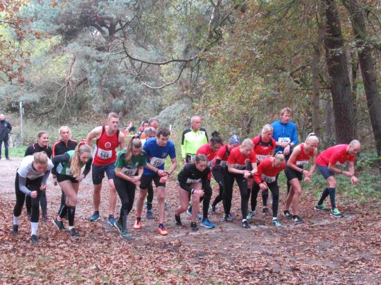 10ter Martinslauf in Kl. Hesepe